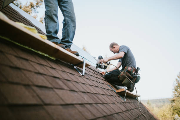 Best Roof Gutter Cleaning  in Gantt, SC